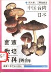 中国台湾、日本菌覃栽培百科图解_11258189_...